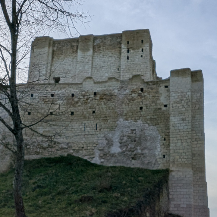 Forteresse de Montrichard